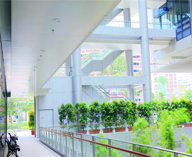 新加坡邱德拔医院